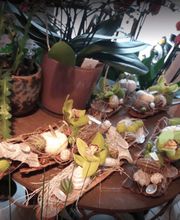 Mony's Blumenboutique Bild 1