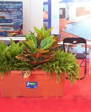 jarditania-alquiler-plantas-02.jpg