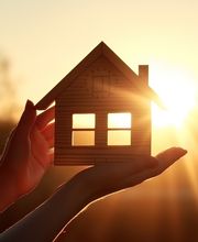 pheenic's gmbh Bild 4