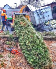 Andreas Steger, Forst- und Gartenservice Bild 11
