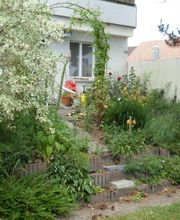 Schneider Garten Bild 5