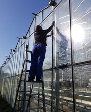 Gülez Gewächshausverglasung Bild 5