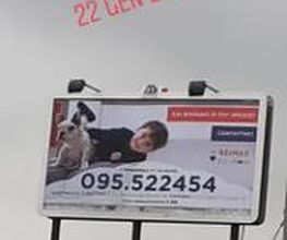 RE/MAX City Home immagine 8
