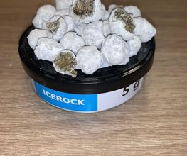 GREEN BUDD CBD PORNIC image 18