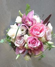 Flora et labora Assia Frankl Bild 7