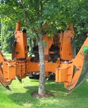 Opitz GmbH & Co. KG, Großbaumverpflanzung Bild 2