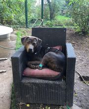 Martin Hofmann Bild 4