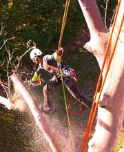 Accès Cimes image 4