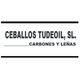 logo-ceballostudeoil.png