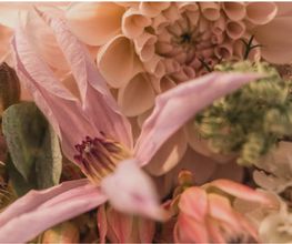 DOFLORES Annette Reich Bild 2