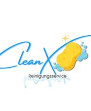 CleanX Schwamm Gebäudereinigung.png