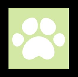 Pasquotank Animal Hospital