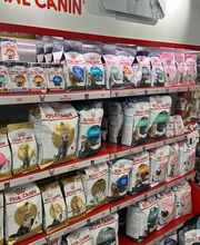 Qua la Zampa di Alessia Milani Termini Bild 5