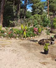 jardineria_segovia-5.jpg