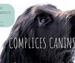 Complices Canins image 1