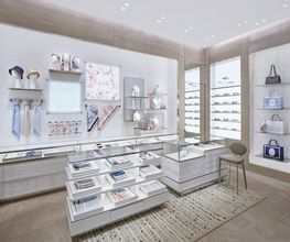 DIOR image 1
