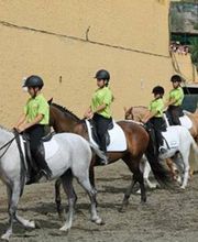 Escuela Hípica los Nogales imagen 3