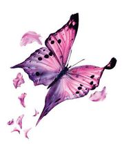 Sadlocha Mélanie image 1