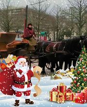 Le Haras De Muralis image 15