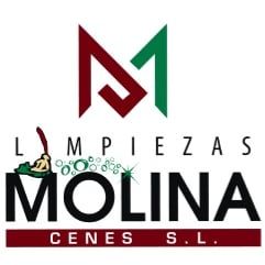logo_molina.jpg