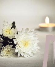 POMPES FUNEBRES MAGNO image 9