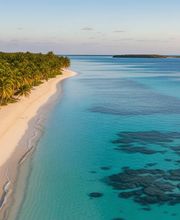 BLUENEST ASSETS imagen 1