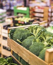 Palets Artola imagen 4