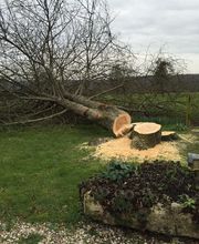 Pierre Elagage et Paysage image 4