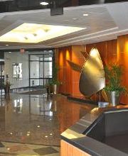 Chesapeake Endodontic Center image 10