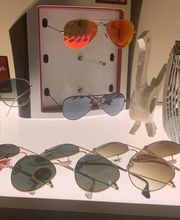 Galloppini F. Bild 4