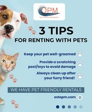 Osto Property Management image 2