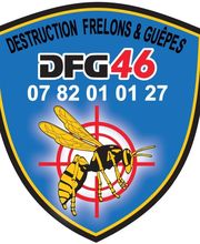 Dfg46 image 2