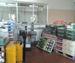 Gallery Cliente