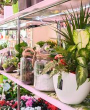 Le Langage Des Fleurs image 10