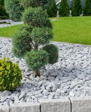 t & t André Tanner Bild 7