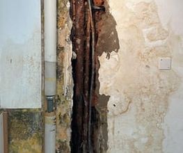 Notfall Sanitär Schweiz Bild 6