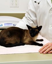 Pound Ridge Veterinary Center image 17