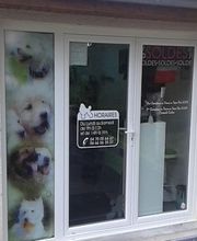 Aux 101 Dalmachiens image 7