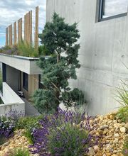 Rufener Jardins Bild 8