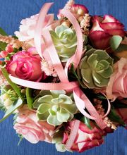 La Pensée Bleue image 8