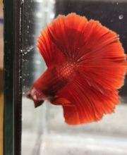 STALLER Martin EIRL AQUABOUTIK image 2