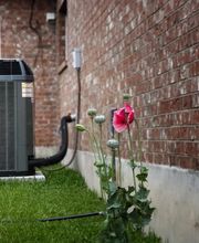 Salt River Air image 18