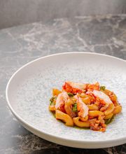 Maccheroncino Lobster