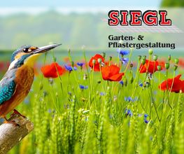Siegl Gartengestaltung GmbH Bild 1