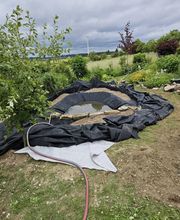 WhatsApp Bild 2025-01-20 um 07.05.12_fdc74f63.jpg