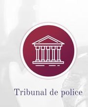 Le Roux Yann image 2