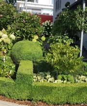 D. Meier Umgebungsarbeiten GmbH Bild 7