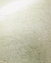 Premier Chem-Dry image 16