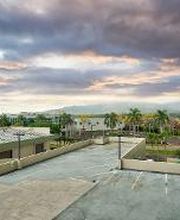 Sprouts Therapy image 9