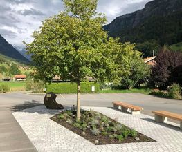 Garten Ideal GmbH Bild 14